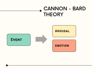cannon - bard theory