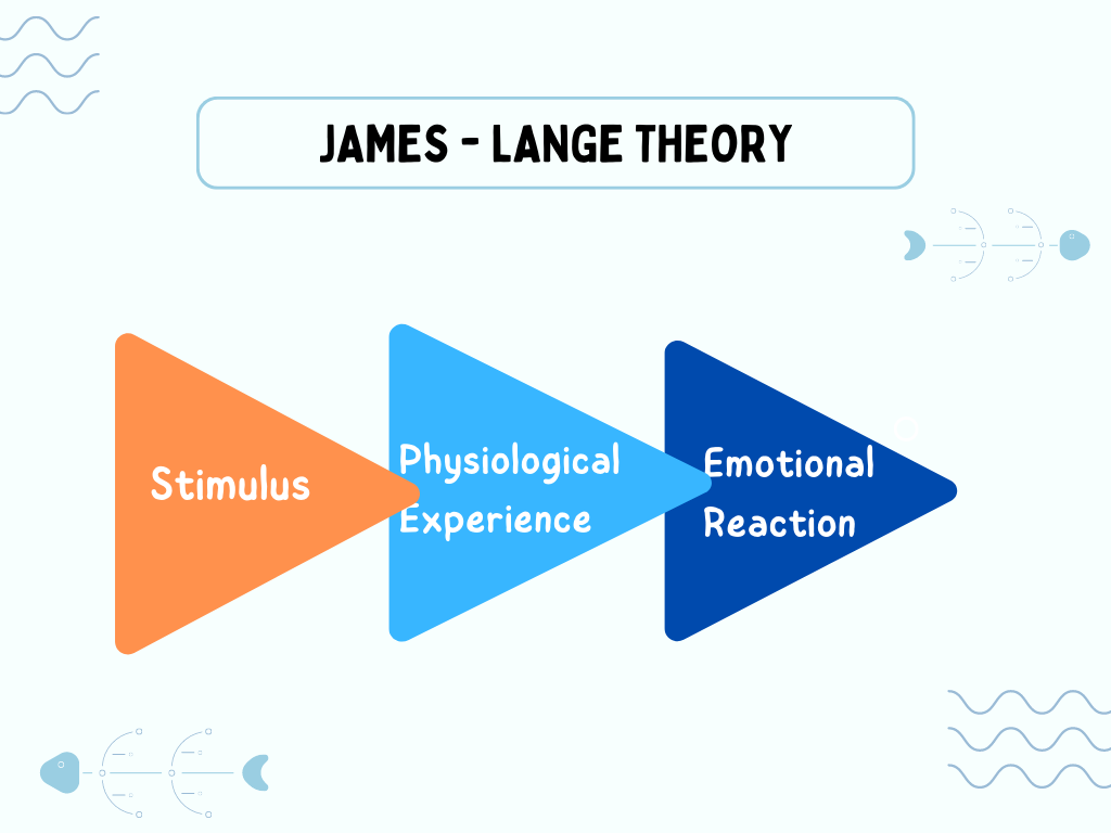 James Lange Theory