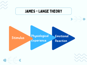 James - Lange Theory